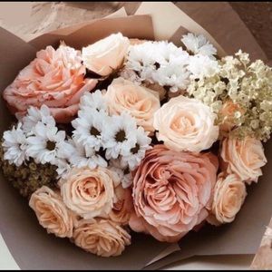 Meet your Posher, Terri